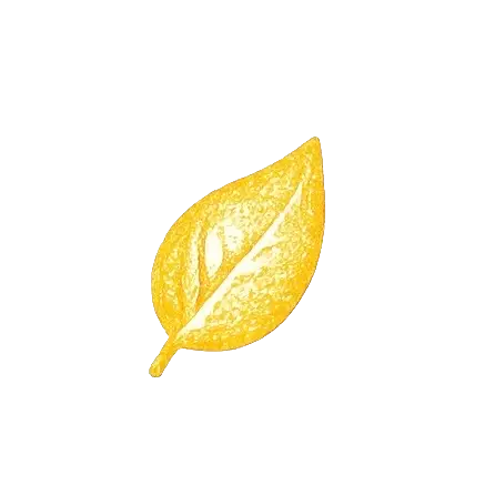 Natural Caffeine