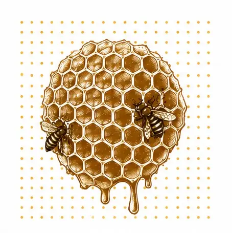 100% raw natural honey
